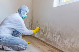 Best Mold Documentation for Insurance Claims  in Columbus Grove, OH