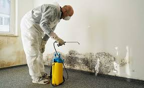 Best Industrial Mold Remediation  in Columbus Grove, OH