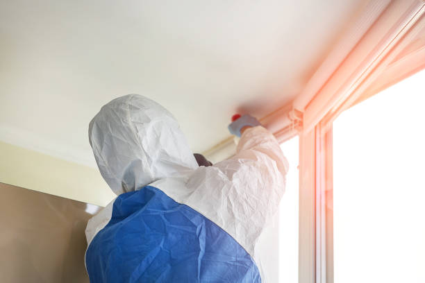 Best Residential Mold Inspection & Testing  in Columbus Grove, OH