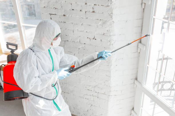 Mold Remediation for Rental Properties in Columbus Grove, OH